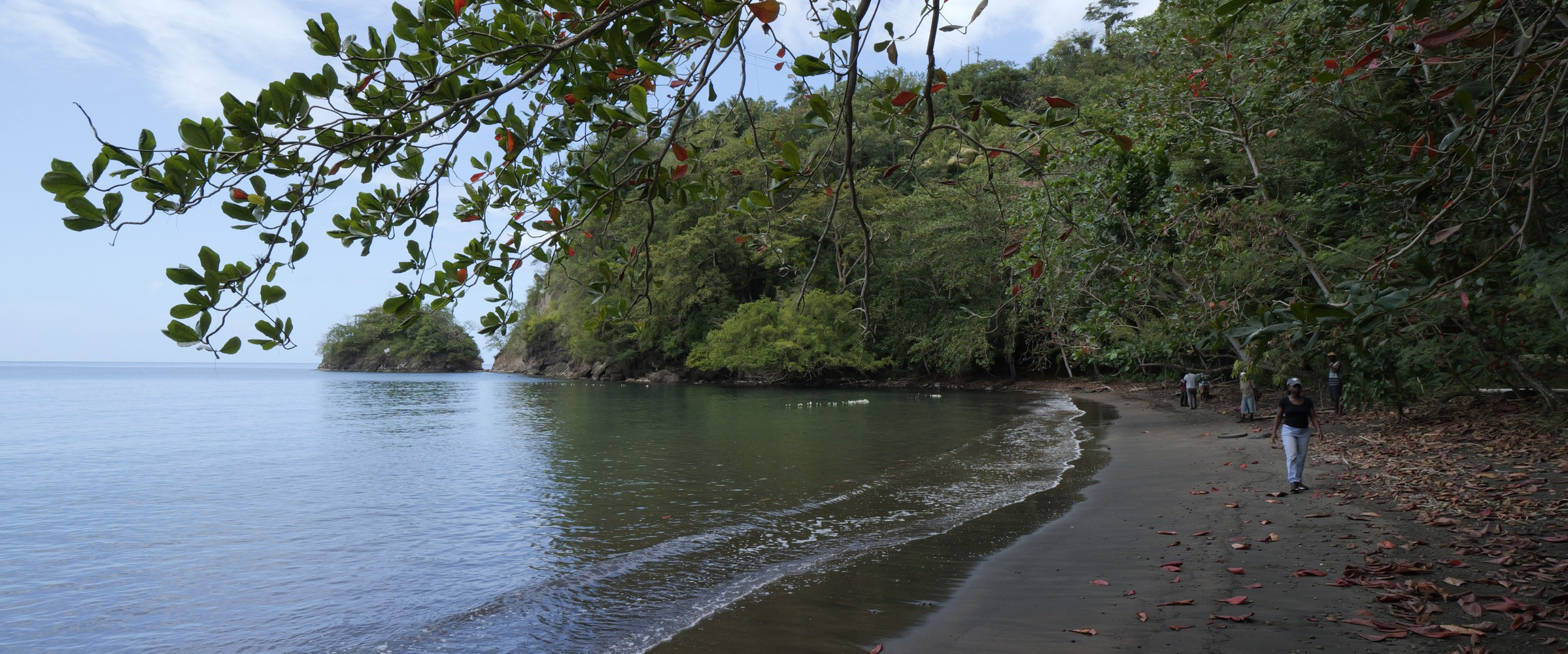 Woodford Bay shoreline